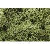 Woodland Scenics - L161 - Lichen - Spring Green
